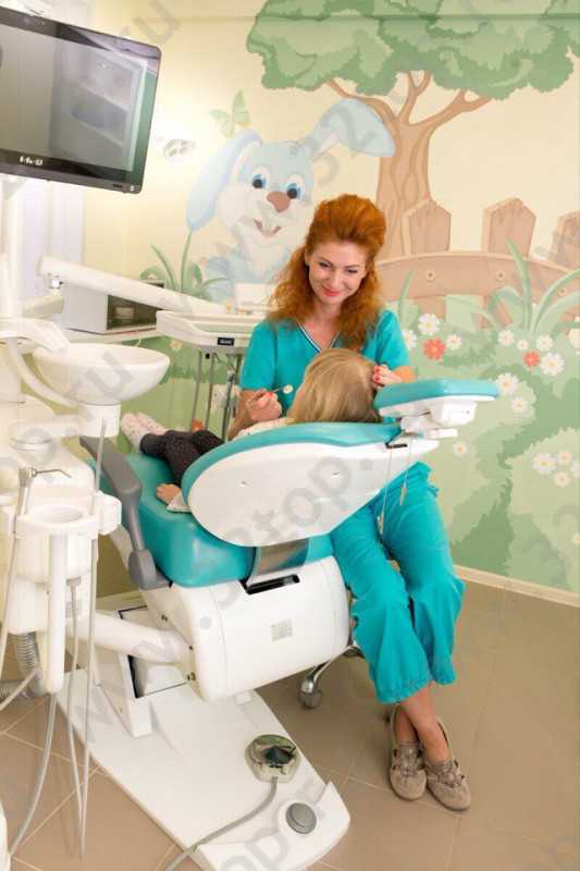 Семейный стоматологический кабинет ЗАЙКА+ (ЗАЙКА ПЛЮС)